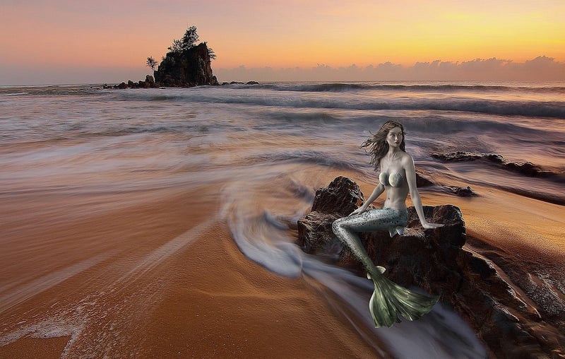Siren's Call