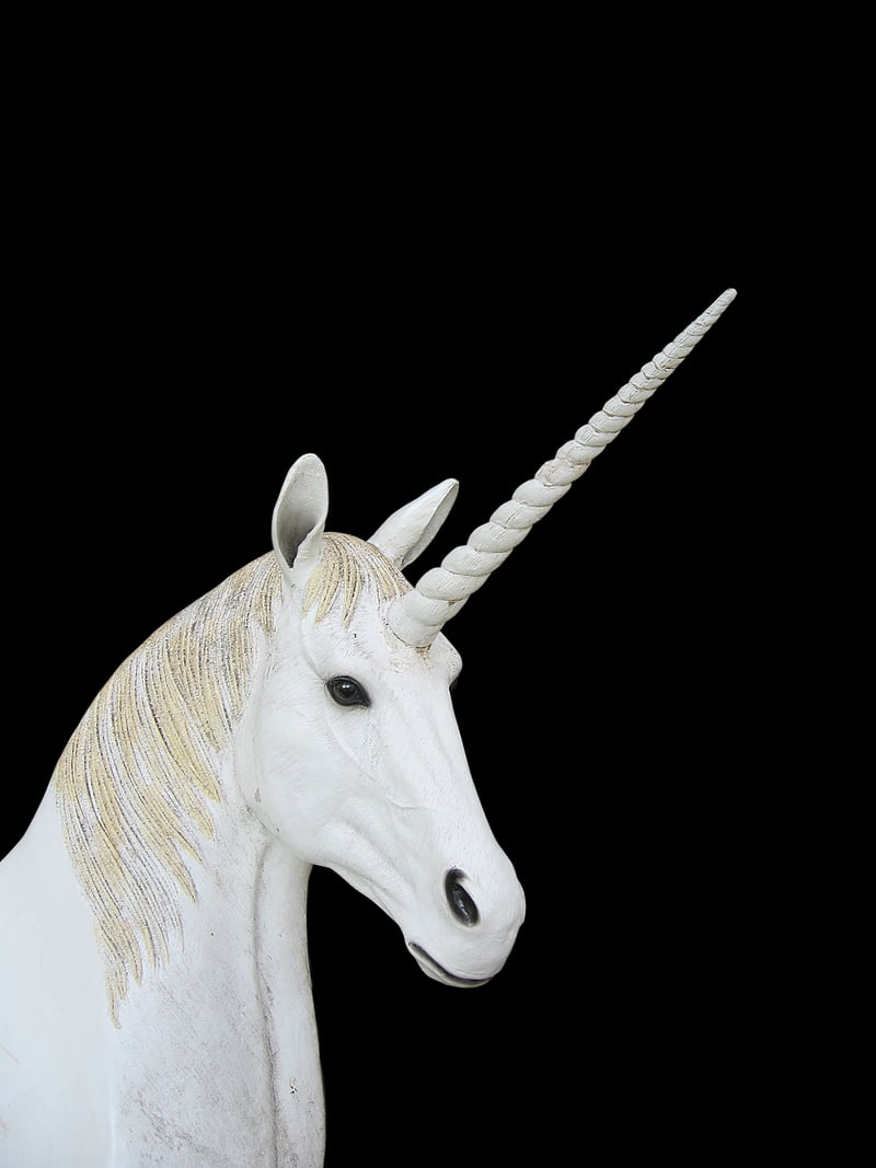 Unicorn Food